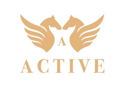 Active Mobilya