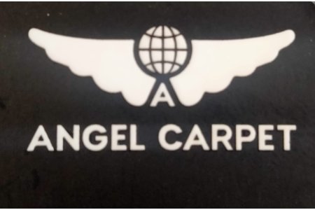 ANGEL VİVİANA